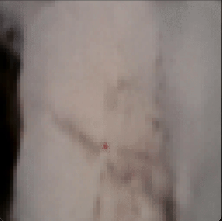 World model robotics inference