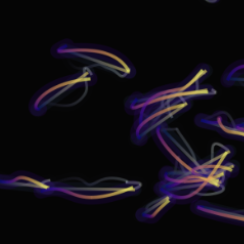 Particle simulation rolled out by the PIVONet neural backbone